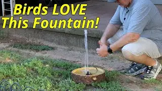 Transform Your Garden with This Tree Trunk Bird Bath Fountain | A Haven for Birds!