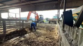 Calf Pens Cleaned Out, Ready To Refill