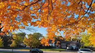 2025 Scarborough park 