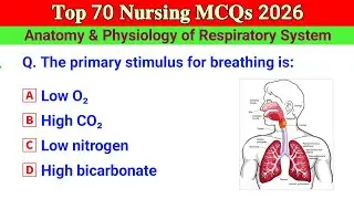 Top 70 Nursing MCQs | Anatomy & Physiology of Respiratory System | Nursing MCQs | Nclex, AIIM BSC 