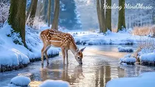 Healing Sound Nature 🌿 Beautiful Piano Music to Heal Your Soul, Reduce Anxiety & Deep Sleep