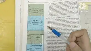 Membrane transport systems/Bioenergetics and Oxidation Phosphorylation/Lippincott Biochemistry