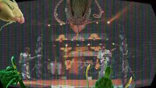 3vol live Quitofest 2021