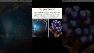 Shiniest living thing on Earth is the Pollia Condensata,an African fruit. #shorts #spiritualhealing