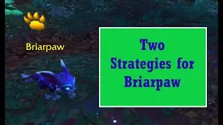 Briarpaw -- Two Strategies
