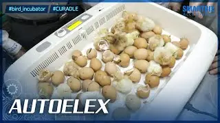 [SmartBiz Accelerators] AUTOELEX, developing a successful model of the smart factory system