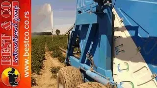 Navodnjavanje povrca - Ocmis irrigation vegetable