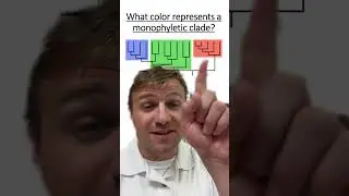 Что такое клада?