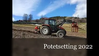 Potetsetting 2022