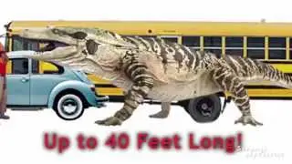 Top 5 BIGGEST Animal Mysteries EVER