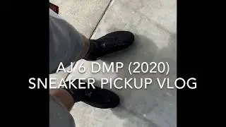 DMP 6 (2020) Pickup Vlog + Mini On Feet Footage
