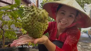 Cắt Mãng Cầu Sầu Riêng, Nhổ Cải Tàu Sậy, Bắp Cải, Bông Cải Mê Luôn