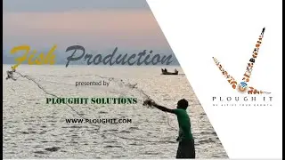 Fish Production | PloughIT Solutions