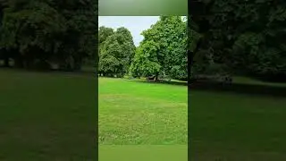 Betts Park