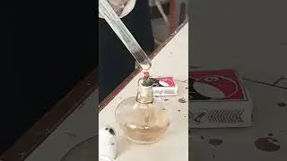 chloride ion test|iodide ion identification test|Conc.Acid