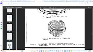 Part 2/2, US Army Operational Group, Ft. Meade, Maryland, ANALYSIS AND ASSESSMENT OF GATEWAY PROCESS