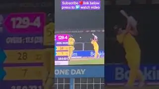 World Cup Australia Batting at Greenfield International Stadium Thiruvananthapuram 🏟  shorts