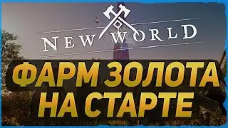 WHAT TO RISE UP ON AT THE START? ◆ Goldpharm New World ◆ ColdVision