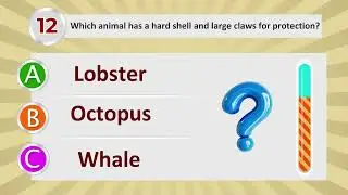 Discover Sea Life | General Knowledge Q&A | The Learner
