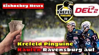 🎥 EISHOCKEY NEWS JUNI 2025 &ndash; Transfers, Stadionumbau & DEL-Disziplin! 🏒🔥
