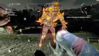 Dying light epic night hunter kills montage #13