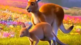 Kangaroo Mom | An educational and fun children's song