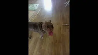 Сборник фоток Кэти (часть 19) 💖 #shorts