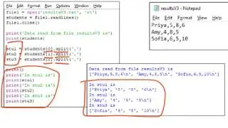 How to read a text file into a Python program