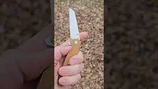 Smooth and Sassy Kizer LP