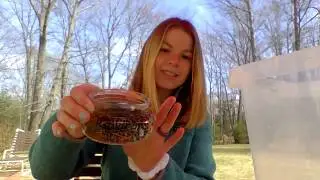 Wood Frog Eggs with Ms. H