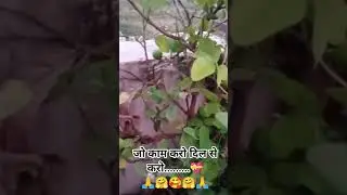 #gardenflowers #blooming #achievement #motivational #naturebeauty #successmindset 🙏🤗🥰💝🥰🤗🙏