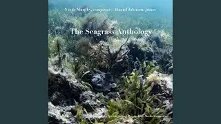 Amphibolis antarctica II (solo piano)