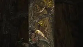 Soulframe Moment 2