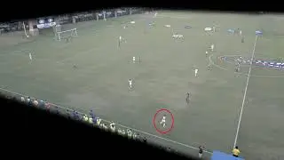 Vanessa Kara UF 2019 Highlight Video