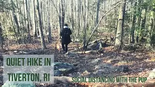 Hidden Gem Hiking Trail in Tiverton, Rhode Island | Social Distance Hiking at Pardon Gray Preserve