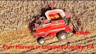 CASE IH 2388 Harvesting Corn In Lancaster County's AMISH LAND