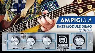 AMPIGula - Bass module demo by Hyenik | Salvation Audio