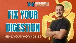 Natural Thyroid Hormone Bootcamp Day 25 | Gut Health, Inflammation & Intermittent Fasting