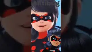 ladybug antibug catnoir catblak