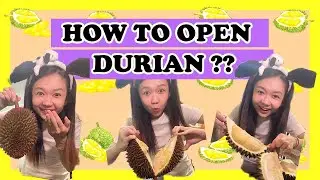 How to open a durian - Easy way to cut durian in 1 minute!