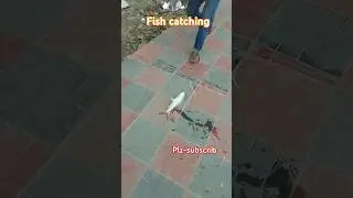 Huk fishing#fishing#tiketfishing#shortvideo#shortsviral