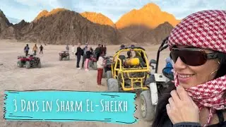 3 Days in Sharm El Sheikh, Egypt (What to do & NOT to do)