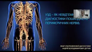 Cetus 40 Focus & Fusion | УЗД периферичних нервів і плечового суглоба | Спікер —Андрій Дутчак
