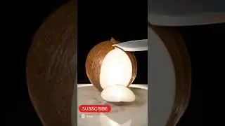 Perfect Crystal Coconut Slicing ✨🥥 Satisfying Crunch Therapy