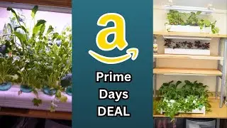 Grow lights that I Use Are On Sale, Amazon Prime Days PLUS Coupon