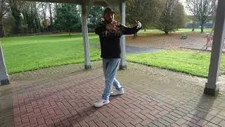 Baguazhang Static Fixed Palms - Martial Qigong Jiben gong fa