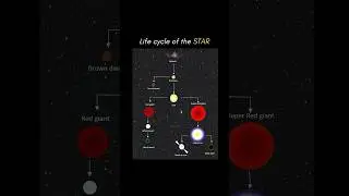 Life Cycle of a Star ⭐️ #star #lifecycle #starformation