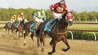 SWAG DADDY WINS GOVERNOR'S CUP 2014