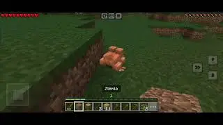 Minecraft LetsPlayPL #5