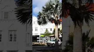 Discover Suriname: A Hidden Paradise of Culture, Nature, and Adventure!
